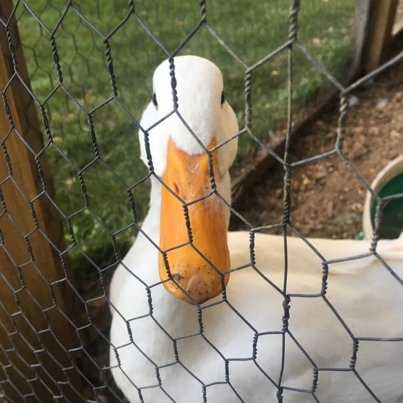 Meet your Posher, Amanda - Picture 1 of 1